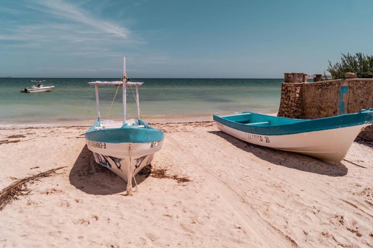 Luxury Condo, The Hidden Gem Playa Chaca. Live It! 普罗格雷索 外观 照片